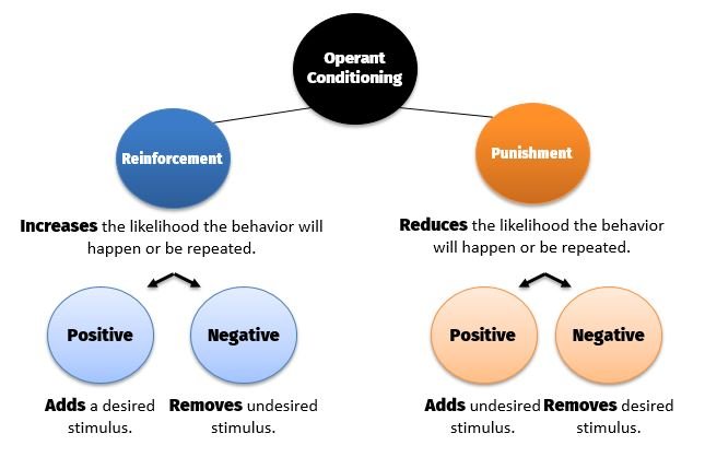 Consumer learning: operant conditioning in real life marketing